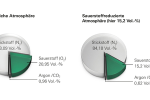  Abb. 3: Bestandteile der Umgebungsluft in natürlicher und sauerstoffreduzierter Atmosphäre 